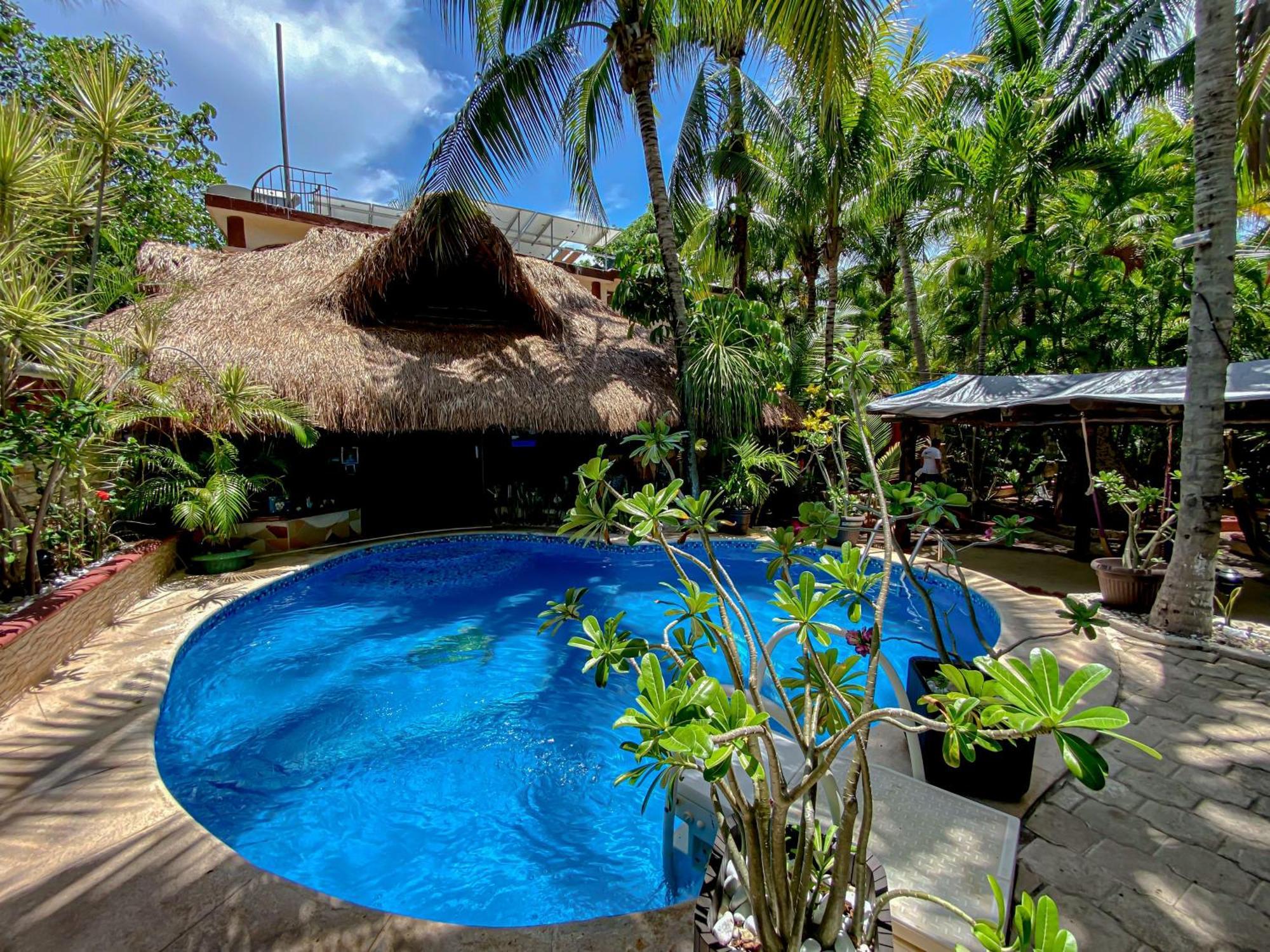 Cocos Cabanas Playa Del Carmen Adults Only Exteriör bild