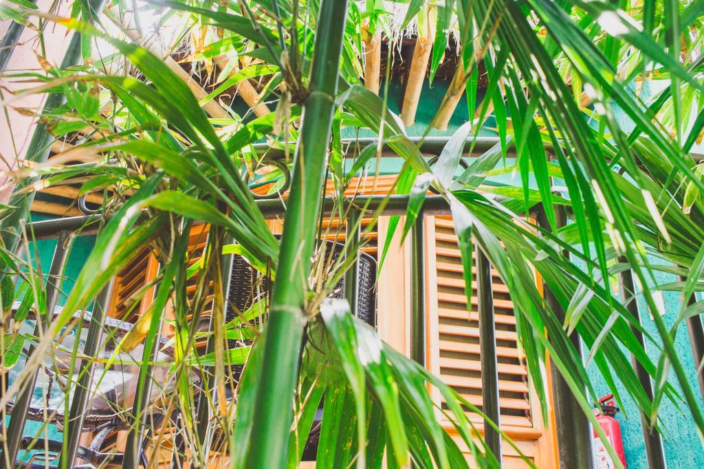 Cocos Cabanas Playa Del Carmen Adults Only Exteriör bild