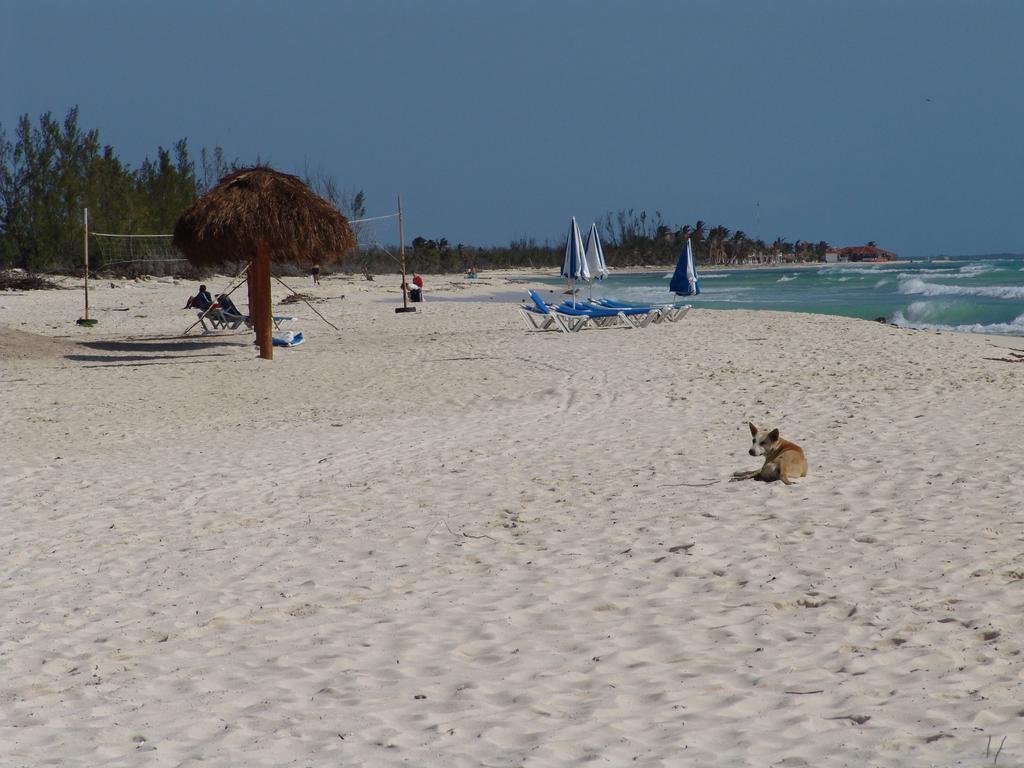 Cocos Cabanas Playa Del Carmen Adults Only Exteriör bild