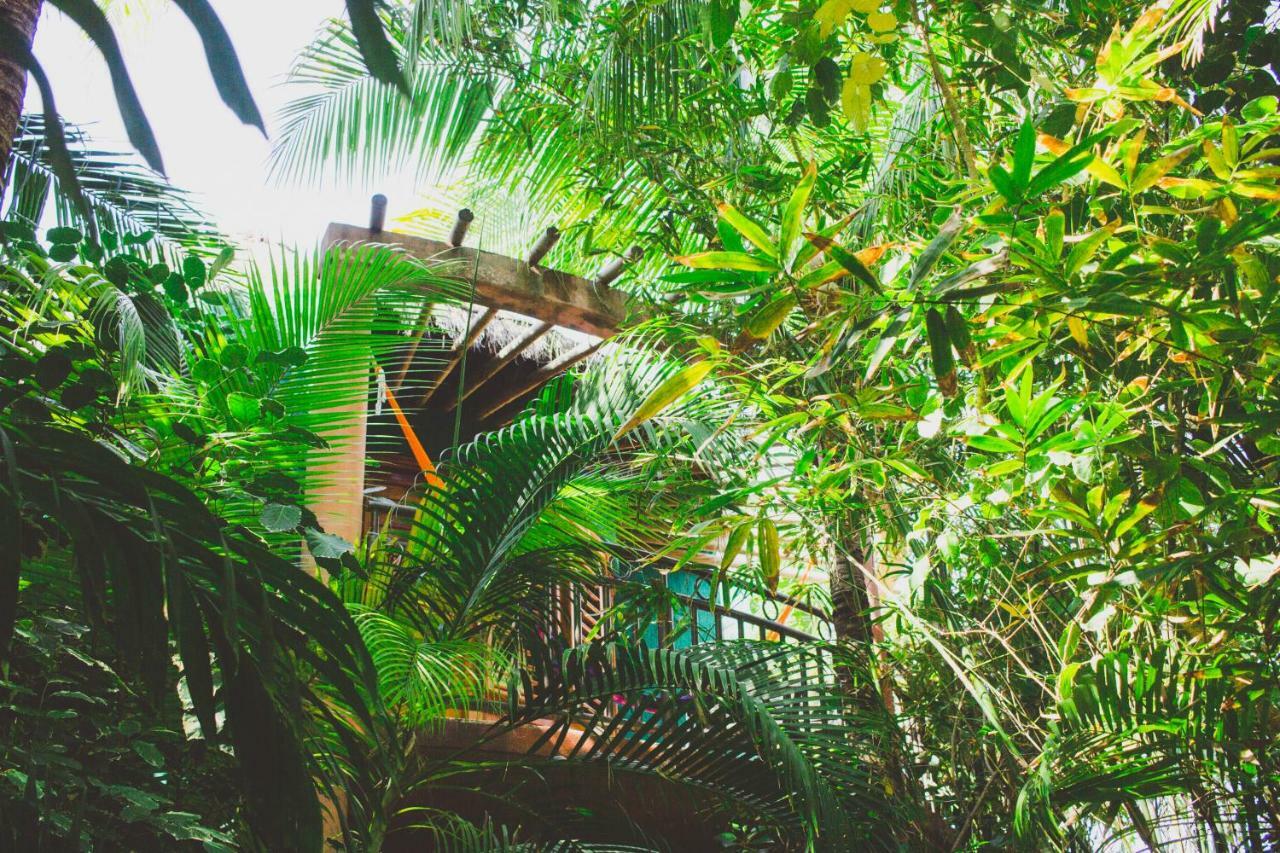 Cocos Cabanas Playa Del Carmen Adults Only Exteriör bild